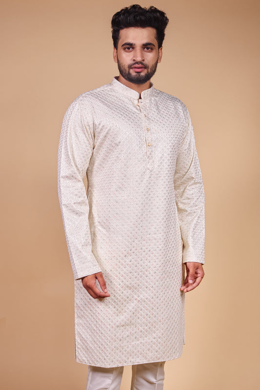 Festive Kurta with Elegant Patterned Embroidery